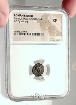 ANONYMOUS 81-196AD Rome Quadrans Authentic Roman Coin MARS CORNUCOPIA NGC i72906