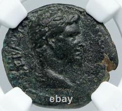 APAMEIA in PHRYGIA 27BC Ancient Roman Coin of Augustus ARTEMIS Statue NGC i89153