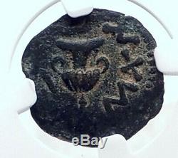 Authentic Ancient JEWISH WAR vs ROMANS 67AD Historical JERUSALEM Coin NGC i81526