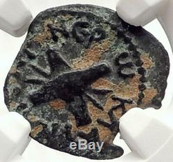 BRITANNICUS NERO Antonius Felix Jerusalem Ancient Roman CLAUDIUS Coin NGC i69609