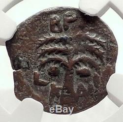 BRITANNICUS NERO Antonius Felix Jerusalem Ancient Roman CLAUDIUS Coin NGC i70833