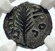 Biblical Jerusalem Saint Paul Nero Porcius Festus Ancient Roman Coin Ngc I70644