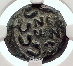 Biblical Jerusalem Saint Paul NERO PORCIUS FESTUS Ancient Roman Coin NGC i70644