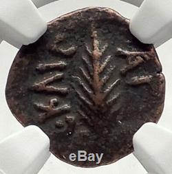 Biblical Jerusalem Saint Paul NERO PORCIUS FESTUS Ancient Roman Coin NGC i70955