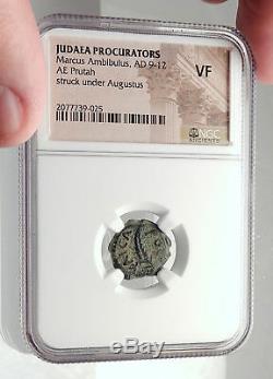 COPONIUS Prefect of Roman JERUSALEM under Augustus 5AD BIBLICAL Coin NGC i70913