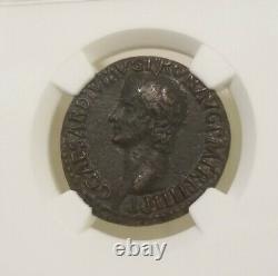 Caligula Roman Empire AE As 37-41 AD NGC Choice VF Ancient Coin