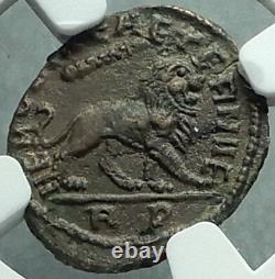 Divus MAXIMIAN under Constantine I 317AD Ancient Roman Coin Lion NGC ChAU i66370