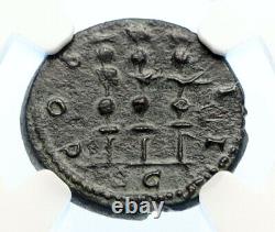 HADRIAN Antique Ancient Rome ANTIQUE Vintage Roman Coin EAGLE LEGION NGC i94476
