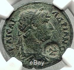 HADRIAN Authentic Ancient Selge Pisidia Roman Coin w STYRAX Plants NGC i68450