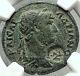 Hadrian Authentic Ancient Selge Pisidia Roman Coin W Styrax Plants Ngc I68450