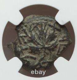Judaea 66-77 AD Jewish Roman Rebellion War, AE Prutah Coin NGC Ch F, Israel