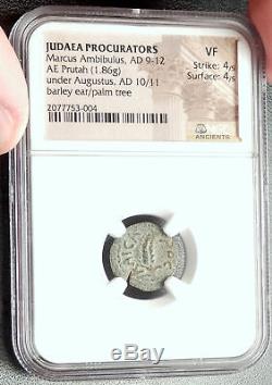 MARCUS AMBIBULUS Augustus Jerusalem Ancient 10AD BIBLICAL Roman Coin NGC i68137