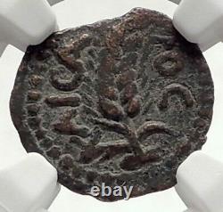 MARCUS AMBIBULUS Augustus Jerusalem Ancient 10AD BIBLICAL Roman Coin NGC i70863