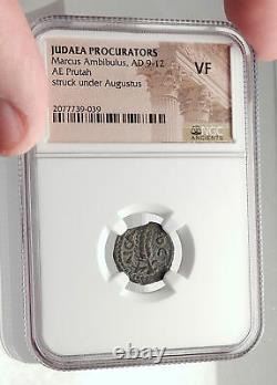 MARCUS AMBIBULUS Augustus Jerusalem Ancient 10AD BIBLICAL Roman Coin NGC i70863