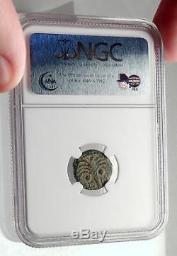MARCUS AMBIBULUS Augustus Jerusalem Ancient 10AD BIBLICAL Roman Coin NGC i70910