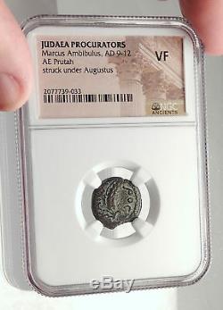 MARCUS AMBIBULUS Augustus Jerusalem Ancient 10AD BIBLICAL Roman Coin NGC i70947