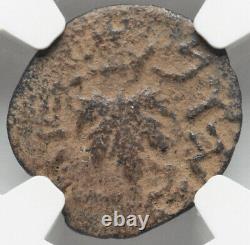 NGC Ch F FINE Judaea 66-70 AD Jewish Roman Rebellion War AE Prutah Coin Israel