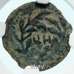 PONTIUS PILATE Tiberius Jerusalem JESUS CHRIST Crucifixion Roman Coin NGC i83919