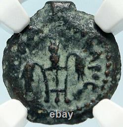 PONTIUS PILATE Tiberius Jerusalem JESUS CHRIST Crucifixion Roman Coin NGC i83969