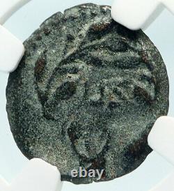 PONTIUS PILATE Tiberius Jerusalem JESUS CHRIST Crucifixion Roman Coin NGC i84277