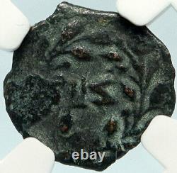 PONTIUS PILATE Tiberius Jerusalem JESUS CHRIST Crucifixion Roman Coin NGC i84437