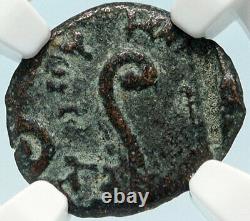 PONTIUS PILATE Tiberius Jerusalem JESUS Crucifixion ERROR Roman Coin NGC i83976