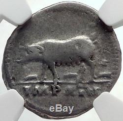 TITUS Authentic Ancient 77AD Rome Silver Roman Coin w SOW PIGLETS NGC i68925