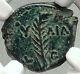 Valerius Gratus Roman Jerusalem Prefect Tiberius Livia Biblical Coin Ngc I68138