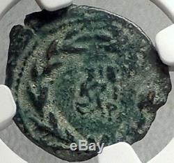 VALERIUS GRATUS Roman Jerusalem Prefect TIBERIUS LIVIA Biblical Coin NGC i68138