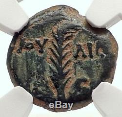 VALERIUS GRATUS Roman Jerusalem Prefect TIBERIUS LIVIA Biblical Coin NGC i70835