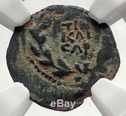 VALERIUS GRATUS Roman Jerusalem Prefect TIBERIUS LIVIA Biblical Coin NGC i70835