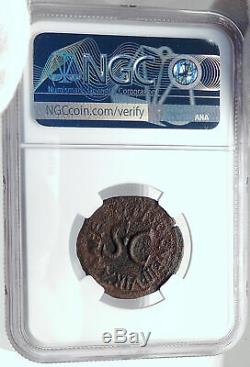 Auguste Authentique Ancien 15bc Véritable Original Rome Roman Coin Sc Ngc I81759