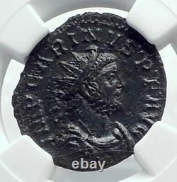 Carinus Lugdunum Antique Authentique 283ad Roman Coin Victoire Ngc Certifié I81624