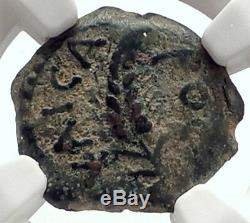Coponius Préfet De Jerusalem Romain Sous Auguste 5ad Biblique Coin Ngc I70913