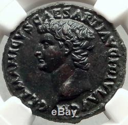 Germanicus Père De Caligula Rare Restitution Monnaie Romaine De Titus Ngc Au I68296