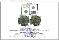 Hadrian Authentique Selge Antique Pisidie ​​monnaie Romaine W Styrax Plantes Ngc I68450