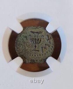 Judaea 66-70 Ad Guerre De Rébellion Romaine Juive, Ae Prutah Coin Ngc Ch Vf, Israël