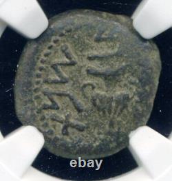 Judée 66-70 apr. J.-C. Rébellion juive de la guerre romaine Pièce de monnaie AE Prutah Israël, NGC VF