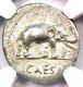 Jules César Ar Denarius Silver Elephant Roman Coin 49 Bc Ngc Choice Xf (ef)