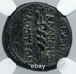 Laodicea, Phrygia 27bc Ancienne Pièce Romaine Augustus Serpent Asclepius Ngc I89128