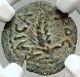 Marcus Ambibulus Auguste Jérusalem Antique 10ad Biblique Romaine Monnaie Ngc I68137