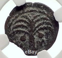 Marcus Ambibulus Auguste Jérusalem Antique 10ad Biblique Romaine Monnaie Ngc I70947