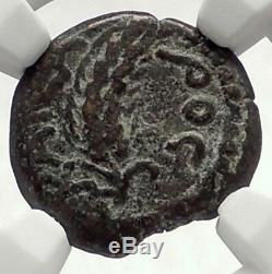 Marcus Ambibulus Auguste Jérusalem Antique 10ad Biblique Romaine Monnaie Ngc I70947