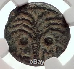 Marcus Ambibulus Augustus Jerusalem Ancient 10ad Biblical Monnaie Romaine Ngc I70910