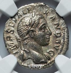 NGC Ch XF 222-235 Denier de Sévère Alexandre Empire romain, César, haute qualité