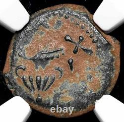 NGC VF Judaea 66-70 AD SCARCE Année 3, Guerre de la Rébellion Juive Romaine, Pièce de monnaie en AE Prutah