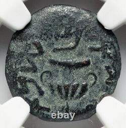 Ngc Ch Choice Vf Judaea 66-70 Ad Guerre De Rébellion Romaine Juive Rare Ae Prutah Coin
