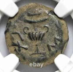 Pièce de monnaie Prutah à feuille d'érable de la guerre de rébellion juive romaine NGC VF Judaea 66-70 AD Année 2