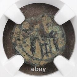 Pièce de monnaie de Ponce Pilate en bronze romain Prutah empereur Tibère NGC en bon état