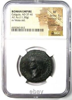 Pièce de monnaie romaine en cuivre Gaius Caligula AE As de 37-41 après J.-C. certifiée NGC XF (EF)